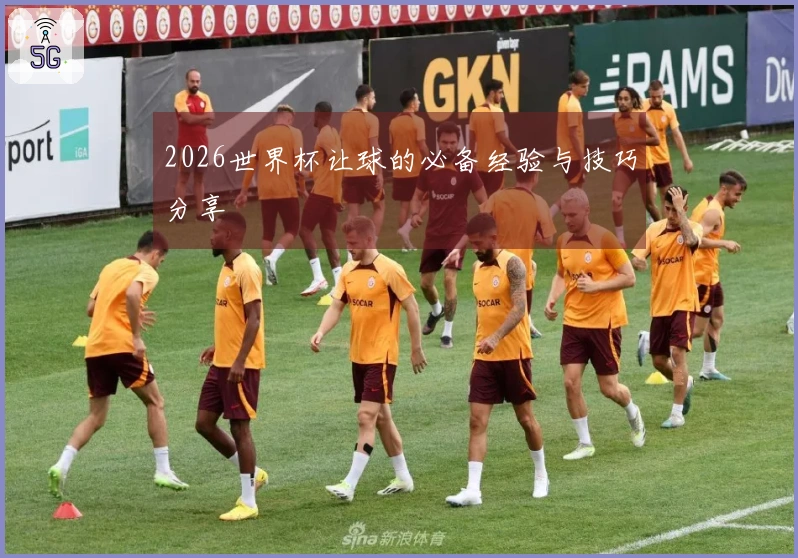 2026世界杯让球的必备经验与技巧分享