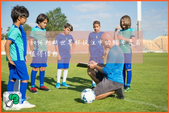 如何判断世界杯投注中的赔率是否值得信赖