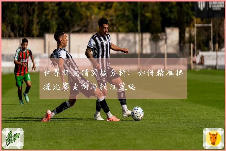 世界杯竞猜实战分析:如何精准把握比赛走向与投注策略