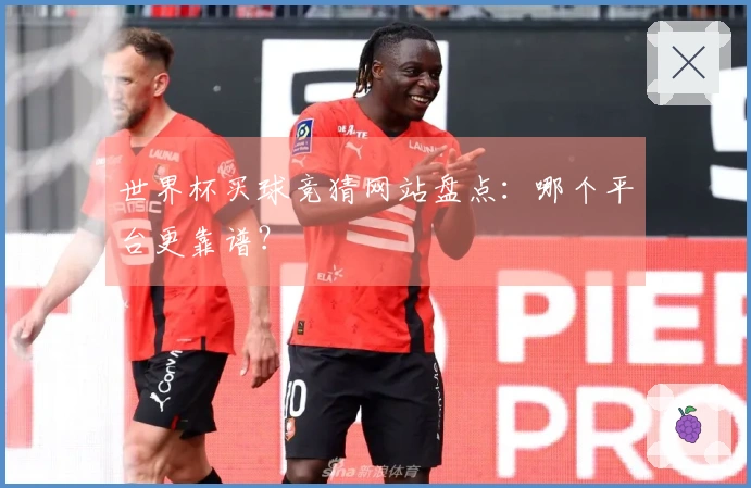 世界杯买球竞猜网站盘点：哪个平台更靠谱？