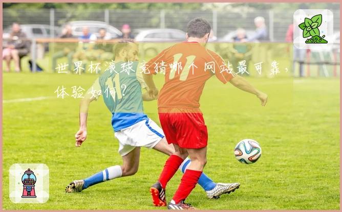 世界杯滚球竞猜哪个网站最可靠，体验如何？