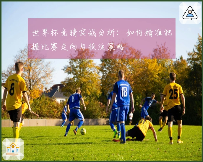 世界杯竞猜实战分析：如何精准把握比赛走向与投注策略
