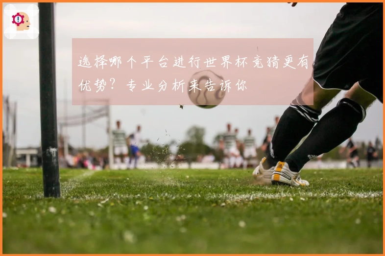 选择哪个平台进行世界杯竞猜更有优势？专业分析来告诉你