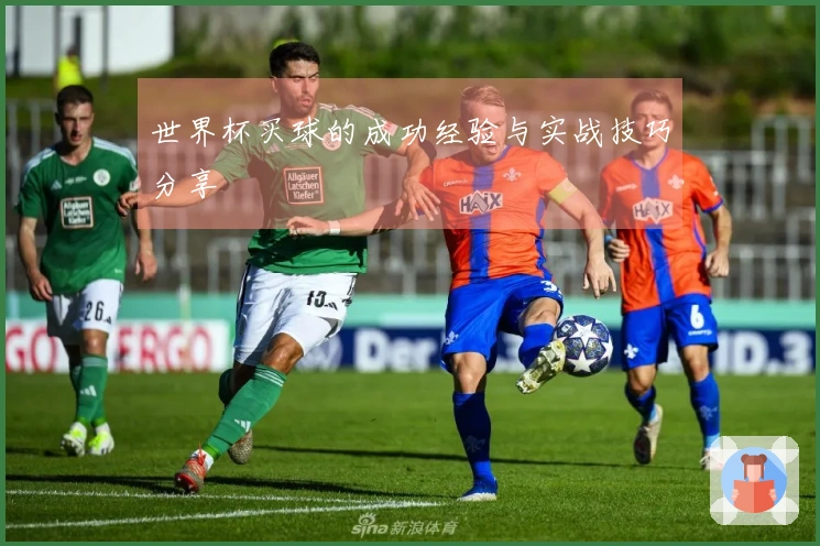 世界杯买球的成功经验与实战技巧分享