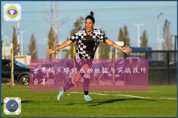 世界杯买球的成功经验与实战技巧分享