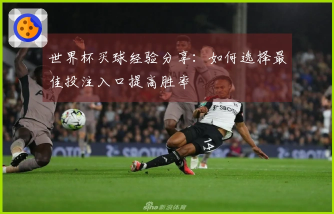 世界杯买球经验分享：如何选择最佳投注入口提高胜率