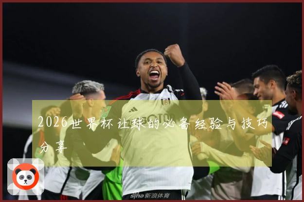 2026世界杯让球的必备经验与技巧分享
