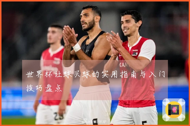 世界杯让球买球的实用指南与入门技巧盘点