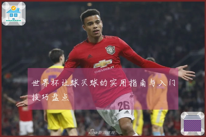 世界杯让球买球的实用指南与入门技巧盘点