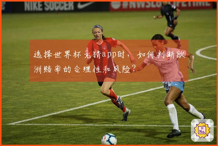 选择世界杯竞猜app时，如何判断欧洲赔率的合理性和风险？