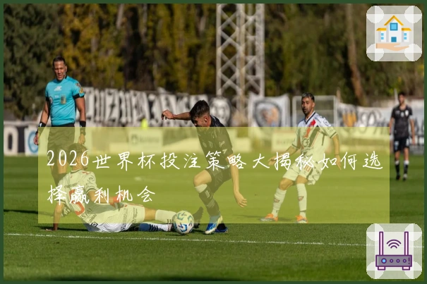 2026世界杯投注策略大揭秘如何选择赢利机会