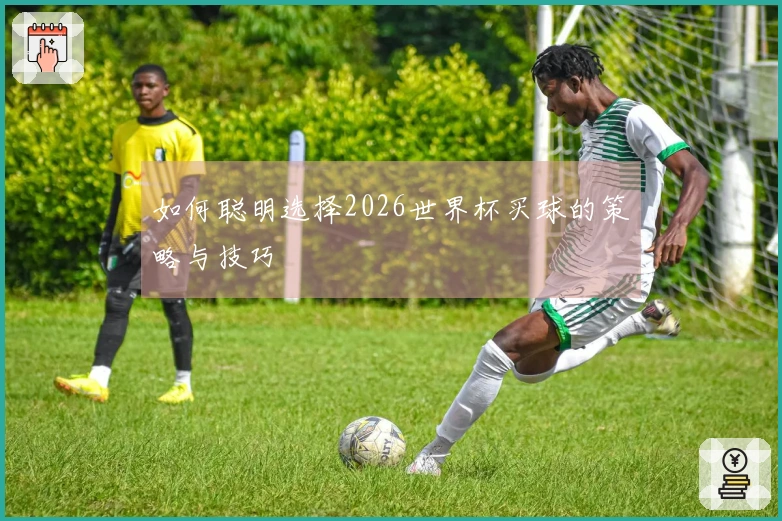 如何聪明选择2026世界杯买球的策略与技巧