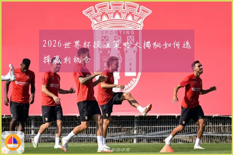 2026世界杯投注策略大揭秘如何选择赢利机会