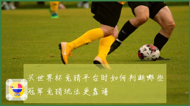 买世界杯竞猜平台时如何判断哪些冠军竞猜玩法更靠谱